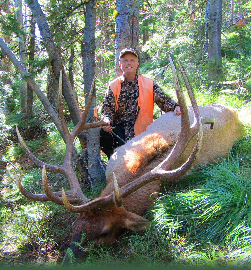 Ford Creek Outfitters Big Game Hunting in Montana