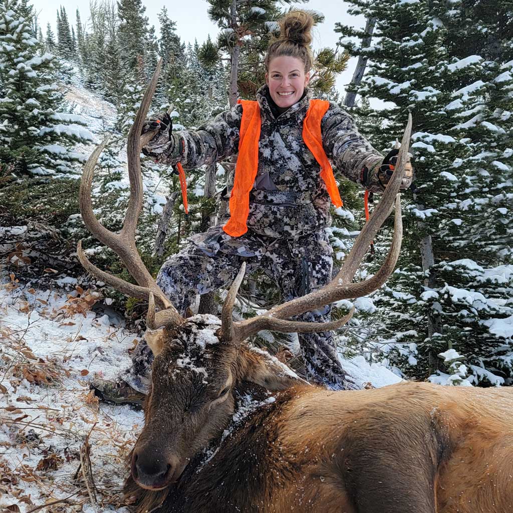 Elk Hunting - Ford Creek Outfitters - Montana