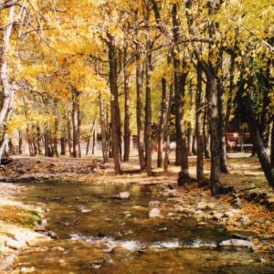 Ford Creek Guest Ranch - Montana