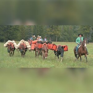 The Country - Ford Creek Outfitters - Montana