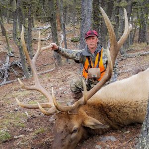 Elk Hunting - Ford Creek Outfitters - Montana