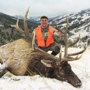 Elk Hunting - Ford Creek Outfitters - Montana