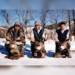 Deer Hunting - Ford Creek Outfitters - Montana