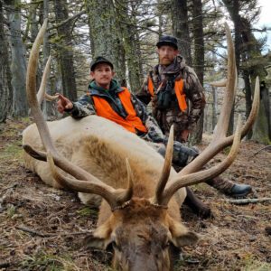 Elk Hunting - Ford Creek Outfitters - Montana