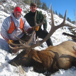 Elk Hunting - Ford Creek Outfitters - Montana