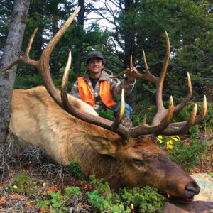 Elk Hunting - Ford Creek Outfitters - Montana