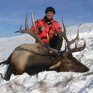 Elk Hunting - Ford Creek Outfitters - Montana