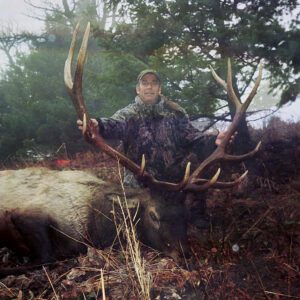 Elk Hunting - Ford Creek Outfitters - Montana