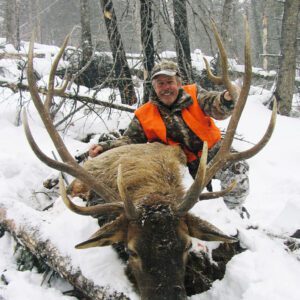 Elk Hunting - Ford Creek Outfitters - Montana