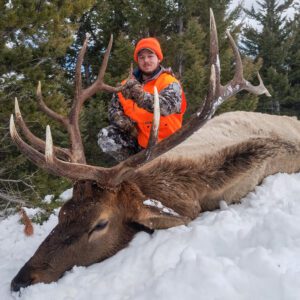 Elk Hunting - Ford Creek Outfitters - Montana