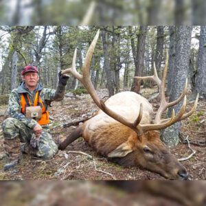 Elk Hunting - Ford Creek Outfitters - Montana