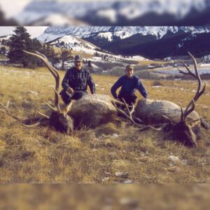 Elk Hunting - Ford Creek Outfitters - Montana