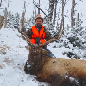 Elk Hunting - Ford Creek Outfitters - Montana