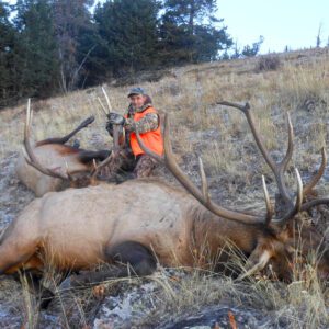 Elk Hunting - Ford Creek Outfitters - Montana