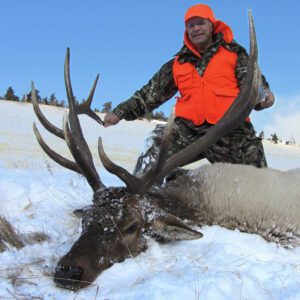 Elk Hunting - Ford Creek Outfitters - Montana