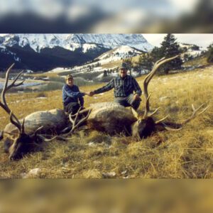 Elk Hunting - Ford Creek Outfitters - Montana