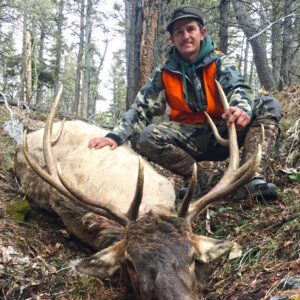 Elk Hunting - Ford Creek Outfitters - Montana