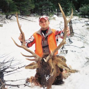 Elk Hunting - Ford Creek Outfitters - Montana