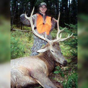 Elk Hunting - Ford Creek Outfitters - Montana