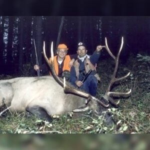 Elk Hunting - Ford Creek Outfitters - Montana