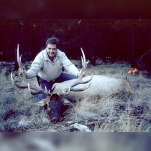 Elk Hunting - Ford Creek Outfitters - Montana