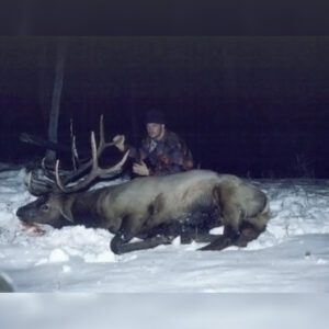 Elk Hunting - Ford Creek Outfitters - Montana