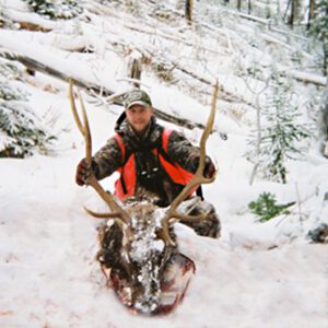 Elk Hunting - Ford Creek Outfitters - Montana