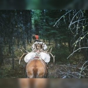 Elk Hunting - Ford Creek Outfitters - Montana