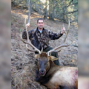 Elk Hunting - Ford Creek Outfitters - Montana