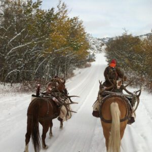 Elk Hunting - Ford Creek Outfitters - Montana