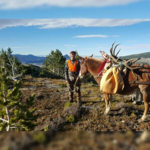 Elk Hunting - Ford Creek Outfitters - Montana