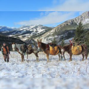 Elk Hunting - Ford Creek Outfitters - Montana