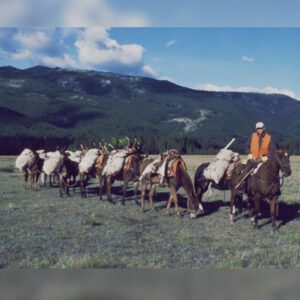 Elk Hunting - Ford Creek Outfitters - Montana