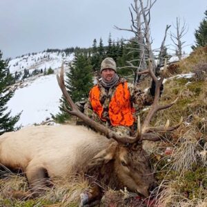 Elk Hunting - Ford Creek Outfitters - Montana