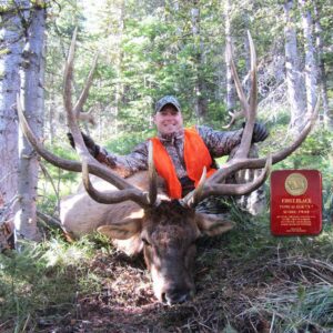 Elk Hunting - Ford Creek Outfitters - Montana