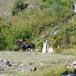 The Country - Ford Creek Outfitters - Montana