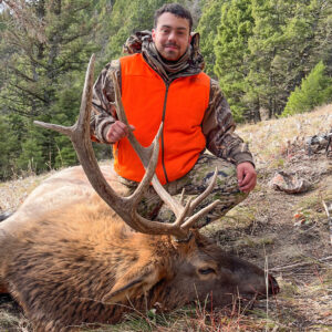 Elk Hunting - Ford Creek Outfitters - Montana