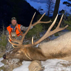 Elk Hunting - Ford Creek Outfitters - Montana