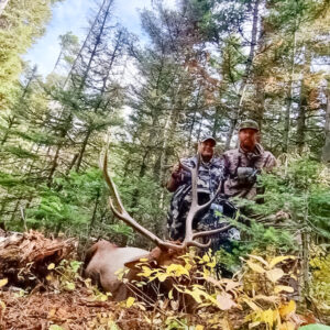 Elk Hunting - Ford Creek Outfitters - Montana