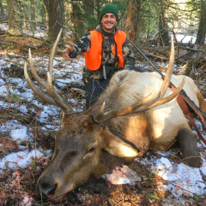 Elk Hunting - Ford Creek Outfitters - Montana